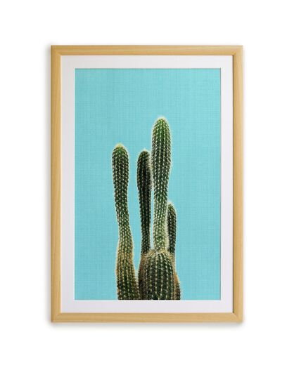 Cadre Cactus - 60x40 cm